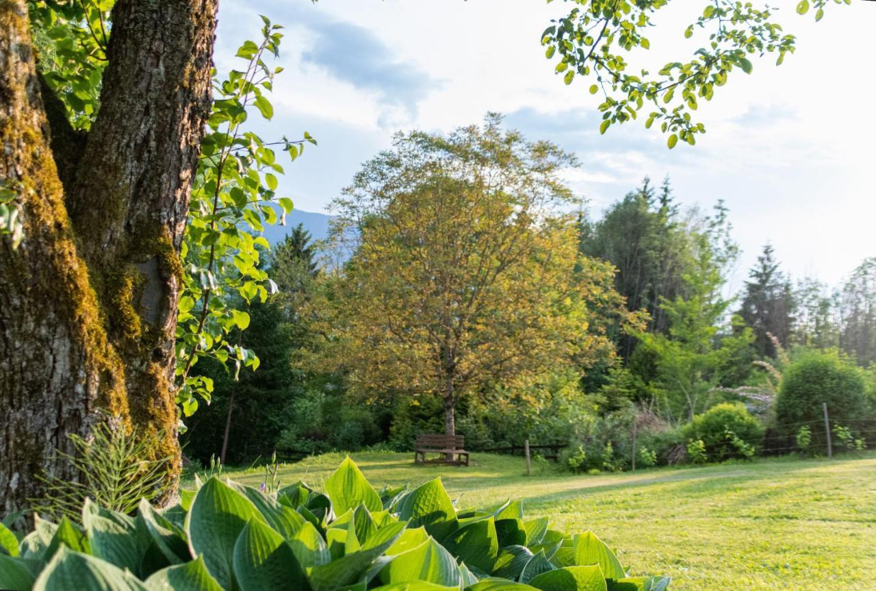 Gartenlodge Auszeit Nötsch エクステリア 写真