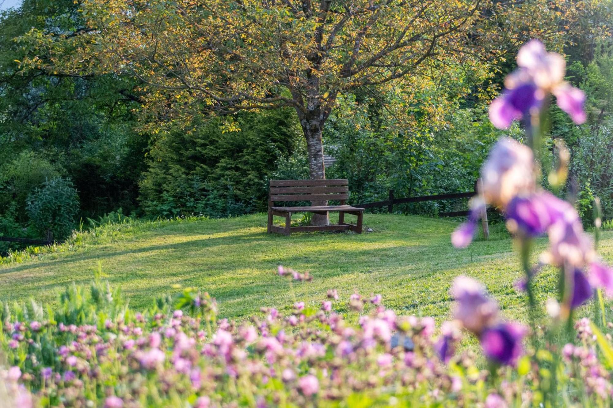 Gartenlodge Auszeit Nötsch エクステリア 写真