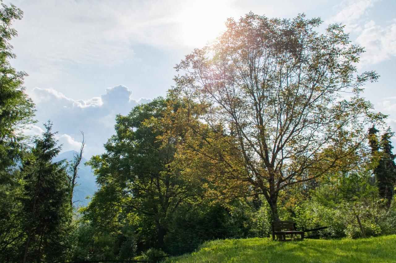 Gartenlodge Auszeit Nötsch エクステリア 写真